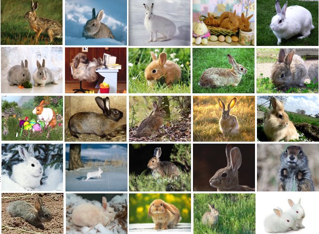 http://solnushki.ru/images/bg/rabbits-bg.jpg